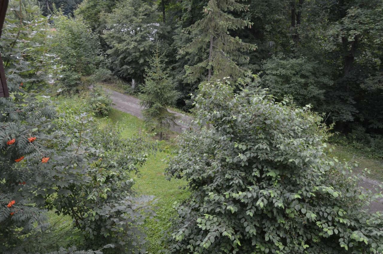 Chata Adrian Slovak Paradise Spišské Tomášovce Exteriör bild